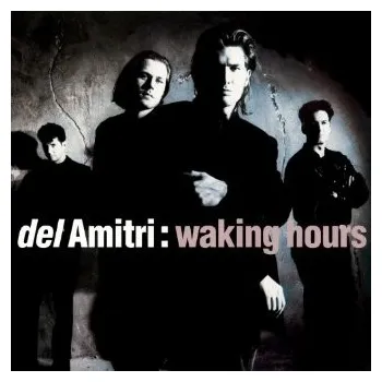 Zahraniční hudba Waking Hours - Del Amitri [CD] 