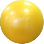 Gymnastický míč GYMNIC CLASSIC PLUS 75