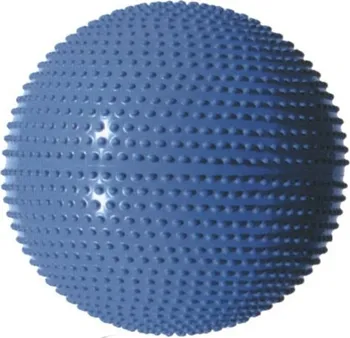 Gymnastický míč Gymnastický míč - fialová - 65cm