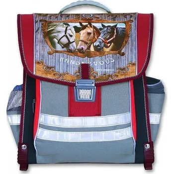 Školní batoh EMIPO Školní aktovka 32 x 14 x 39 cm, Randezvous