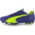 Kopačky Puma evoSpeed 3 FG Mens Football Boots zelená