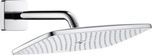 Hansgrohe Raindance New 27371000