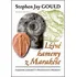 Lživé kameny z Marakéše - Stephen Jay Gould
