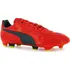 Kopačky Puma EVOPOWER 4 FG