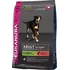 Krmivo pro psa Eukanuba Adult All Breeds Rich in Salmon/Rice