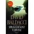 Spravedlnost v Divine - David Baldacci