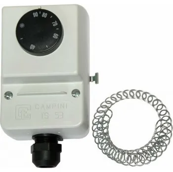 Regulus TS 5310.01