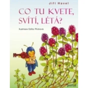 Co tu kvete, svítí, létá? - Jiří Havel