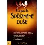 Co jsou to spřízněné duše - Sue Minns