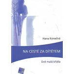 Na cestě za dítětem - Hana Konečná