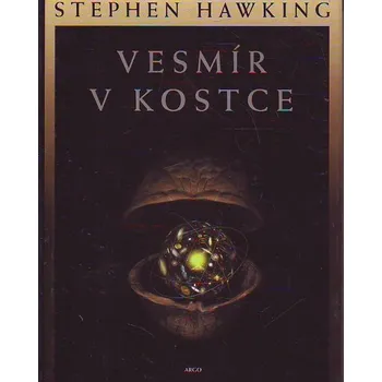 Vesmír v kostce - Stephen Hawking