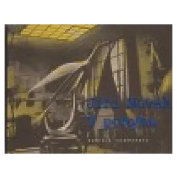 Jiří Novák: V pohybu - Daniela Kramerová