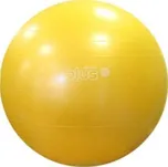 Gymnastický míč GYMNIC CLASSIC PLUS 55