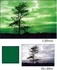 COKIN filtr P004 zelený