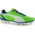 Kopačky Puma evoSpeed 3 FG Mens Football Boots zelená