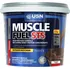Gainer USN Muscle Fuel STS 5000 g