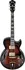 Elektrická kytara Ibanez AG95 DBS