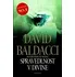 Spravedlnost v Divine - David Baldacci