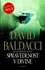 Spravedlnost v Divine - David Baldacci