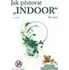 Jak pěstovat "INDOOR": José Mr.