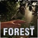 Počítačová hra The Forest PC CD-key