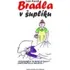 Bradla v šuplíku - Ivan Kandl