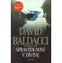 Spravedlnost v Divine - David Baldacci