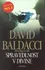 Spravedlnost v Divine - David Baldacci