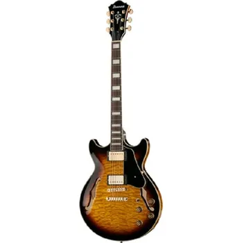 Elektrická kytara Recenze Ibanez AM93 AYS