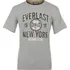 Pánské tričko Everlast Boxing pánské tričko, šedé