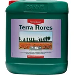 Canna Terra Flores