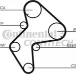 Rozvodový řemen CONTITECH (CT 772)