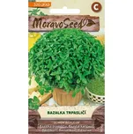Moravoseed Bazalka trpasličí 320 ks