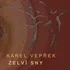 Česká hudba Karel Vepřek