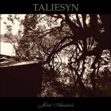 Česká hudba Jižní Amnésie - Taliesyn [CD]