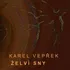 Česká hudba Karel Vepřek