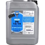 Hesi PK 13/14