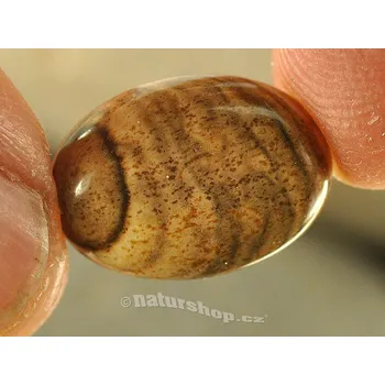 Přírodní kámen Jaspis obrázkový šperková mugle ovál 18x13mm (mugle058)