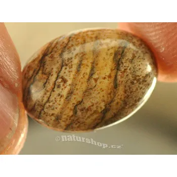 Přírodní kámen Jaspis obrázkový oválná šperková mugle 18x13mm (mugle057)