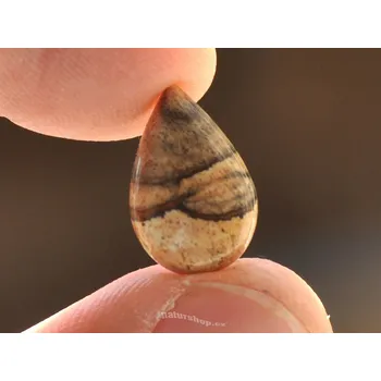 Přírodní kámen Jaspis obrázkový šperková mugle slza 0.88g (mugle319)