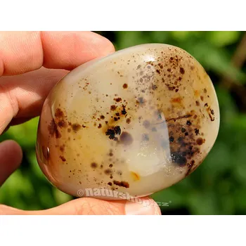 Sběratelství Achát troml QA Madagaskar 69mm jumbo