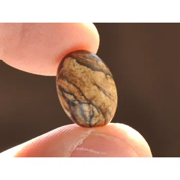 Přírodní kámen Jaspis obrázkový šperková mugle ovál 14x10mm (mugle302)
