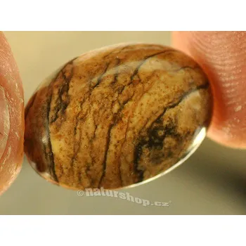 Přírodní kámen Jaspis obrázkový oválná šperková mugle 18x13mm (mugle055)