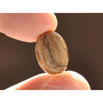 Přírodní kámen Jaspis obrázkový šperková mugle ovál 14x10mm (mugle305)