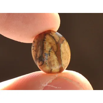 Přírodní kámen Šperková mugle jaspis obrázkový ovál 0.79g