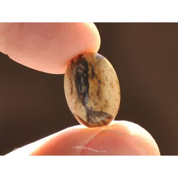 Přírodní kámen Šperková mugle jaspis obrázkový ovál 14x10mm (mugle309)