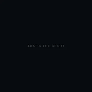 Zahraniční hudba That's The Spirit - Bring Me The Horizon [CD]