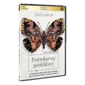 DVD film Pestrobarvec petrklíčový [DVD]