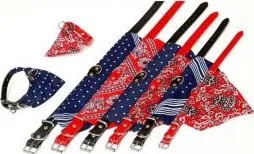 Obojek pro psa B&F Obojek+bavlněný šátek červený 18x50 cm