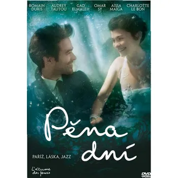 DVD Pěna dní (2013) DVD film DVD Pěna dní (2013)